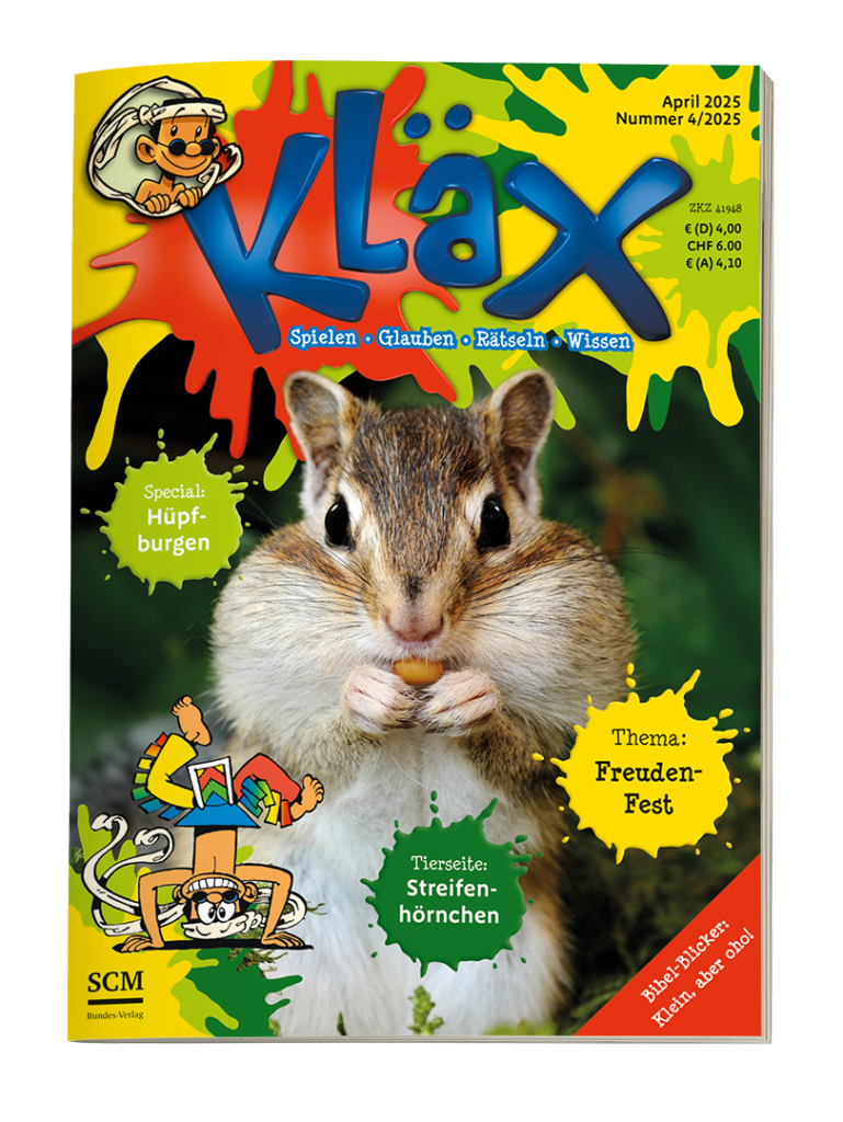 Die Grundidee 5 KLAEX RGB Cover